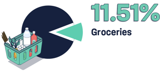 Consumer data report - groceries extra