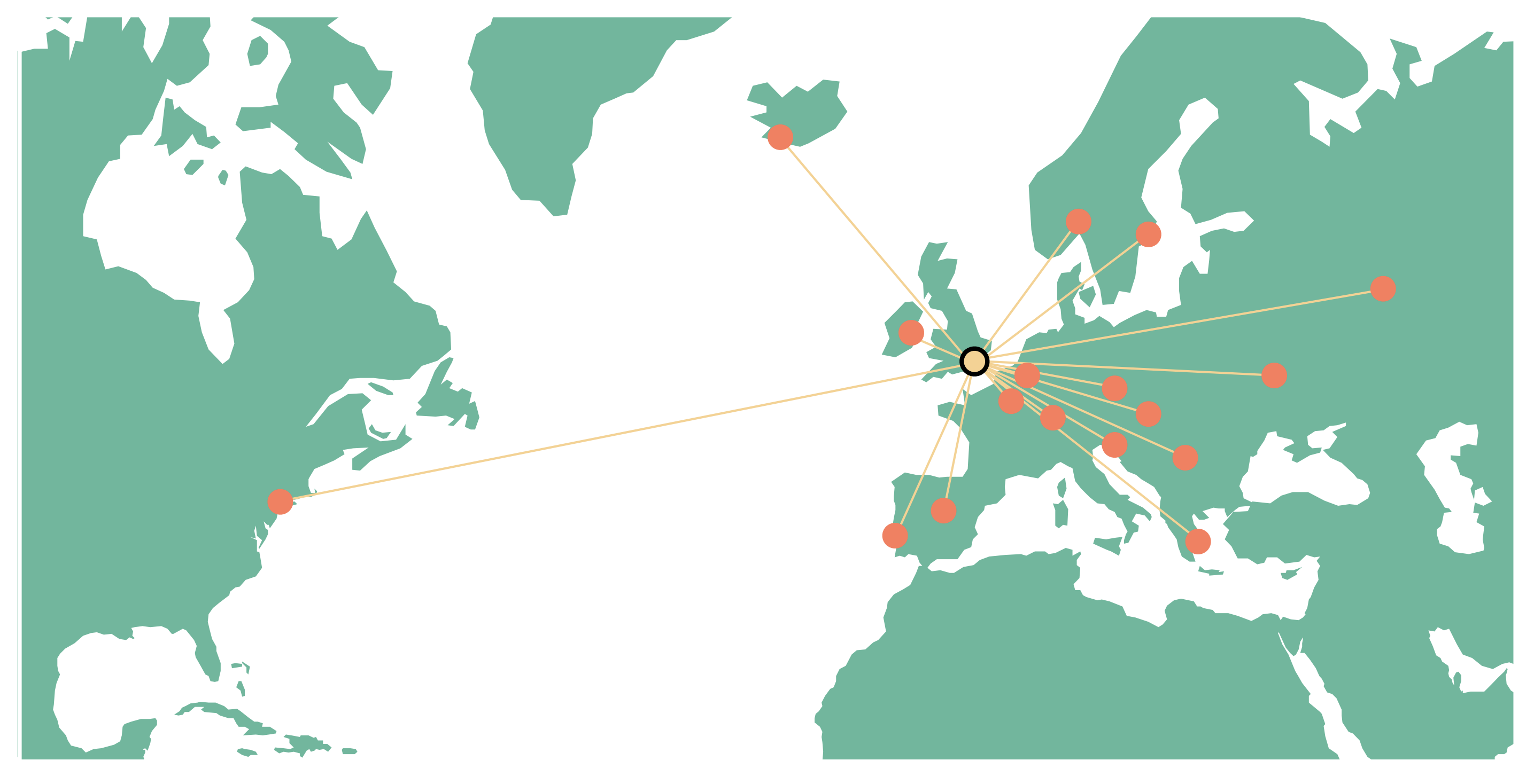dummy network dummy network